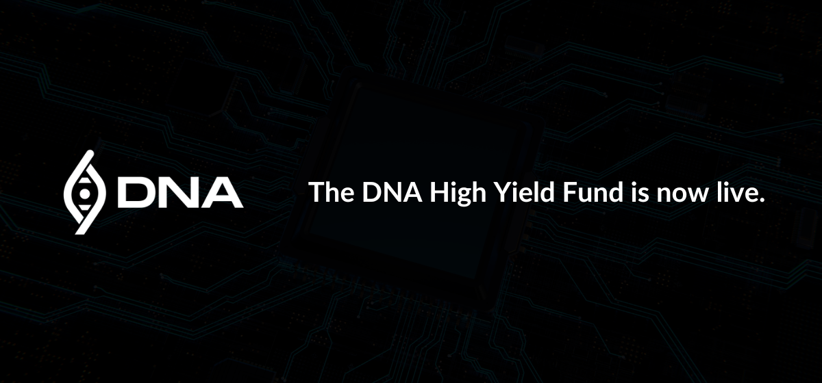 DNA Fund February Newsletter